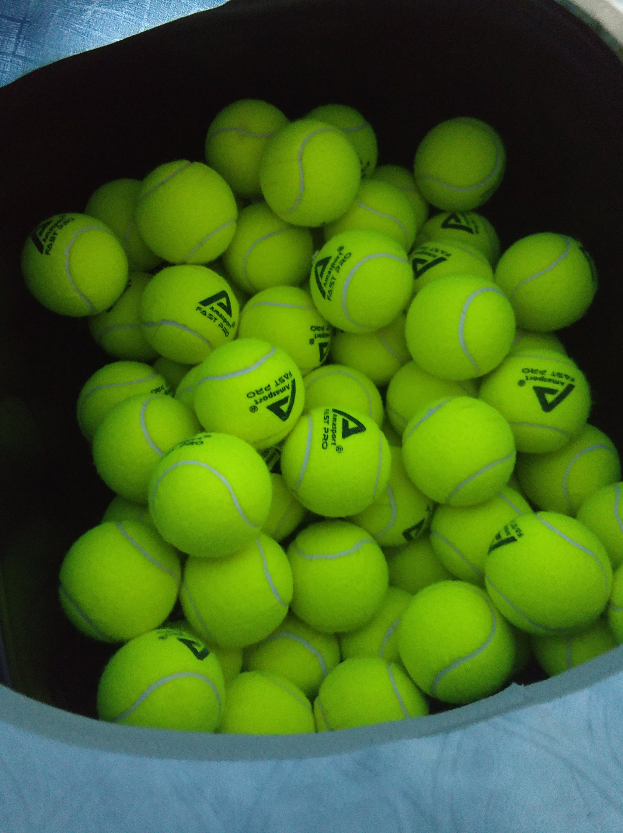 正因为有着 正因为有着